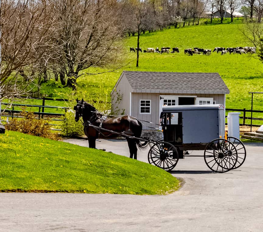 Amish horse and buggy in Pennsylvania