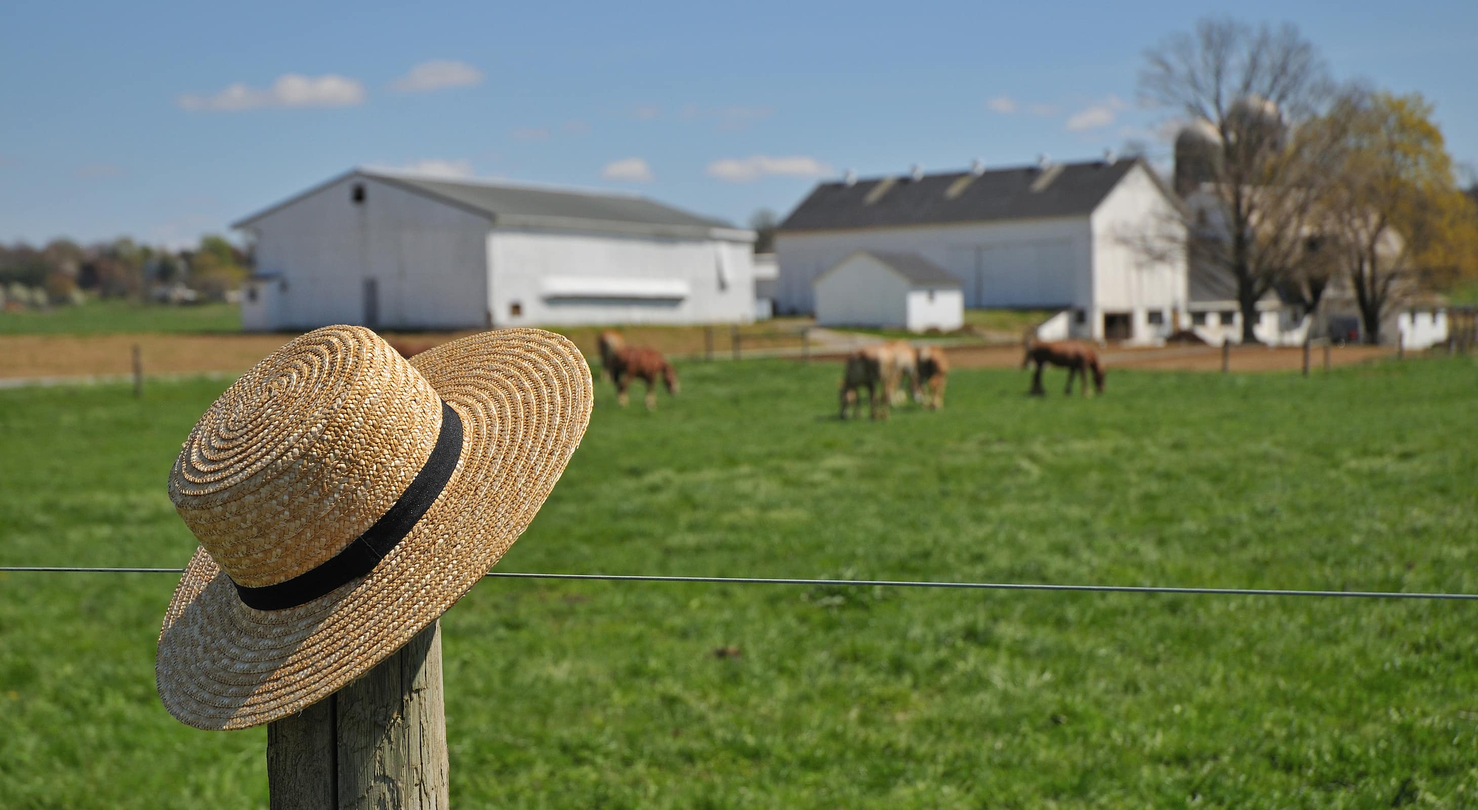 Amish farm in Lancaster County