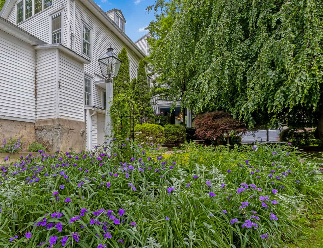 purple flowers in garden at historic PA inn