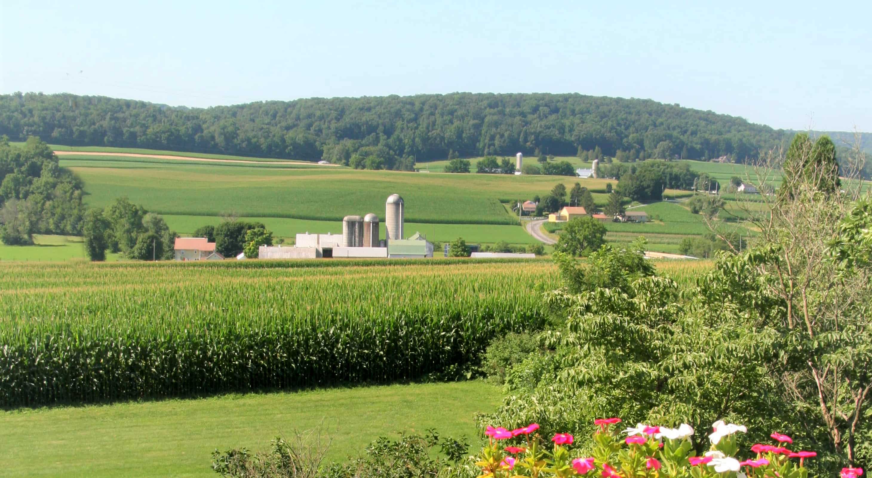 view of Amish country farm from Lancaster County inn